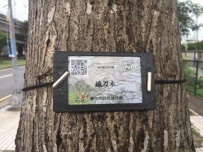 中市首創行道樹電子身分證 掃QR Code樹籍資料一目了然