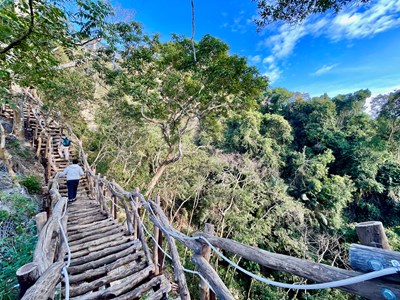 With the azure sky as a canvas - enjoy the diverse colors of the forest along the trail