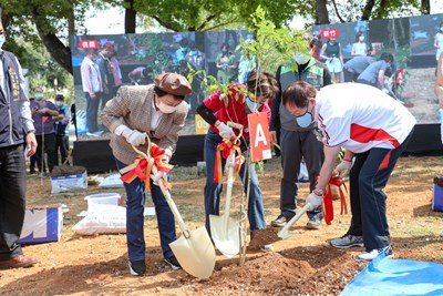 Mayor Lu and TSMC jointly plants the Tree of Hope